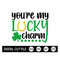MR-18920238268-st-patricks-day-svg-youre-my-lucky-charm-svg-shamrock-image-1.jpg