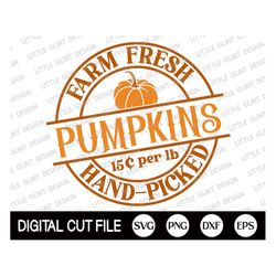 farm fresh pumpkins svg, farmhouse svg, fall svg, fall sign, fall quote, farmhouse sign, farm fresh, autumn cut file, sv