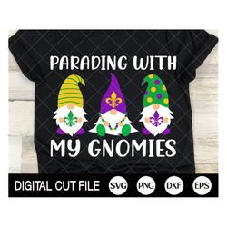 parading with my gnomies, mardi gras svg, gnome svg, kids shirt design, mardi gras party, 2022 svg, svg files for cricut