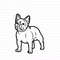 MR-1892023104850-french-bulldog-svg-french-bulldog-clipart-french-bulldog-svg-image-1.jpg