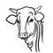 MR-1892023105219-cow-svg-image-1.jpg