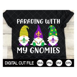 parading with my gnomies, mardi gras svg, gnome svg, kids shirt design, mardi gras party, 2022 svg, svg files for cricut