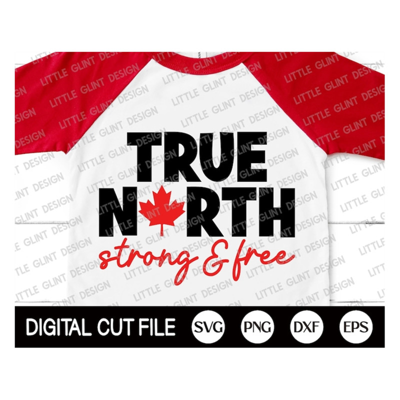 MR-1892023143810-true-north-svg-strong-and-free-canada-svg-canada-day-svg-image-1.jpg