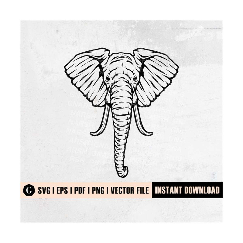 MR-1892023163846-elephant-svg-safari-animal-svg-elephant-vinyl-elephant-image-1.jpg