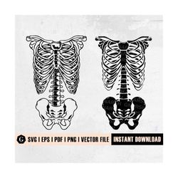 skeleton rib cage svg | ribcage svg file | skeleton svg | halloween svg | skeleton bones svg | skeleton shirt | horror s