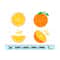 MR-199202391457-orange-svg-orange-clipart-orange-dxf-orange-png-orange-image-1.jpg