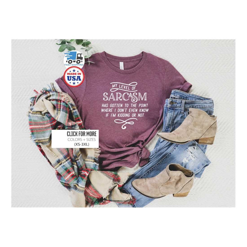 MR-19920239219-sarcasm-shirt-sarcastic-shirt-my-level-of-sarcasm-shirt-image-1.jpg
