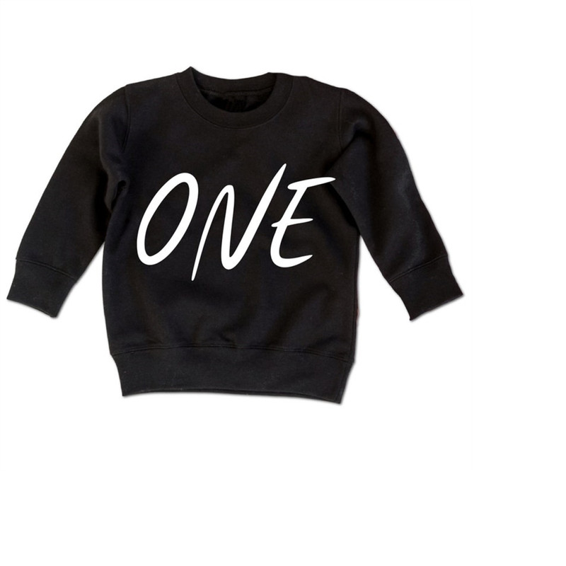 MR-1992023111418-one-tee-one-birthday-shirt-one-sweatshirt-first-birthday-image-1.jpg