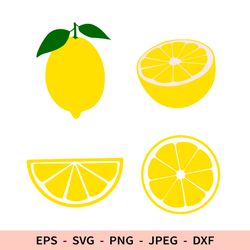 Lemon Svg Fruit File for Cricut Slice Lemon Leaf Dxf Set Bundle Half Lemon Piece Svg Lemonade Cricut