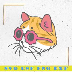 cool cat svg, cat swag glasses svg, animal svg