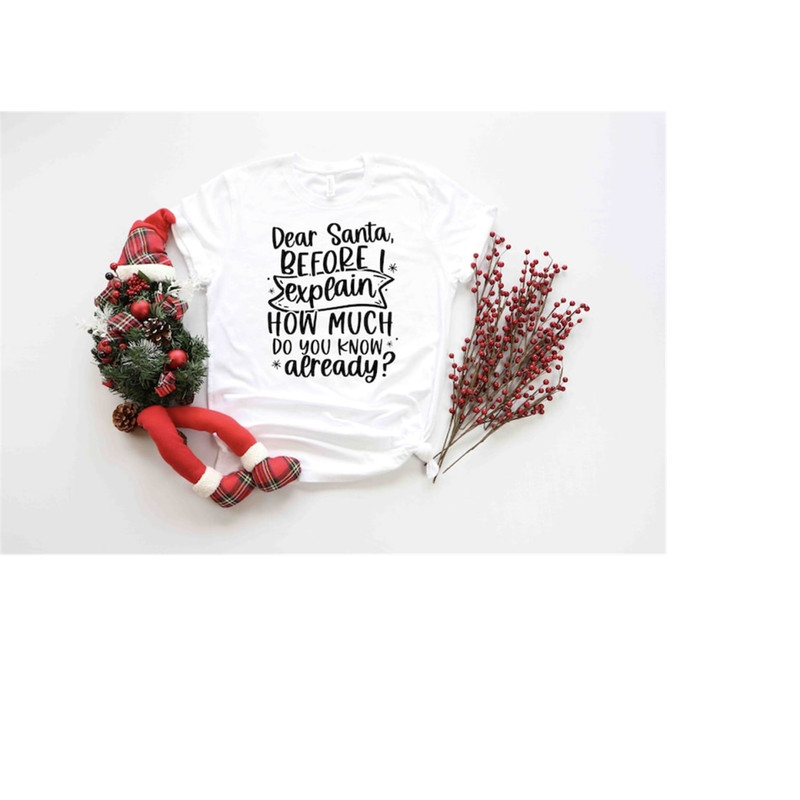 MR-199202315810-dear-santa-shirt-funny-christmas-shirt-naughty-joyful-image-1.jpg