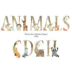 Woodland animals letters, nursery alphabet, numbers birthday, watercolor forest animals letter, clipart.