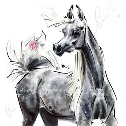 Horse ART commission HALFBODY LINEART Realistic original painting custom equine portrait pet illustration MariePHorses