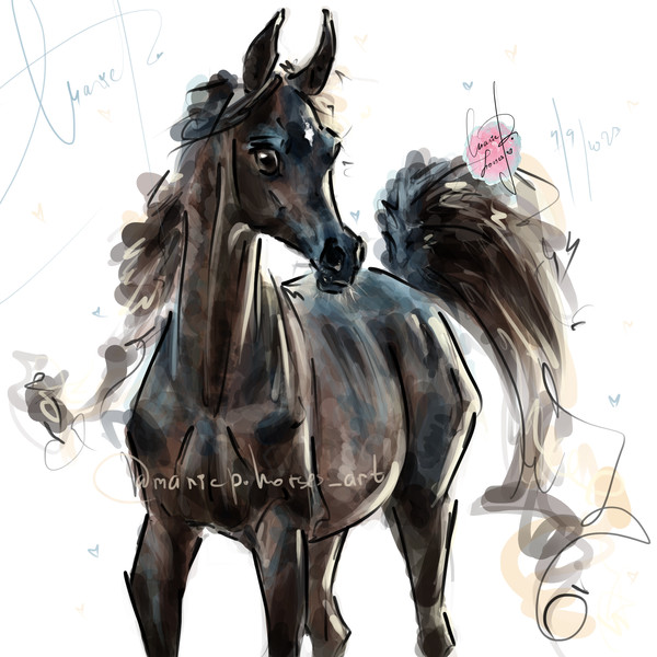 black Arabian Horse ART commission custom original equine artist illustration pet portrait realistic drawing personalized painting equestrian gift artwork hand-