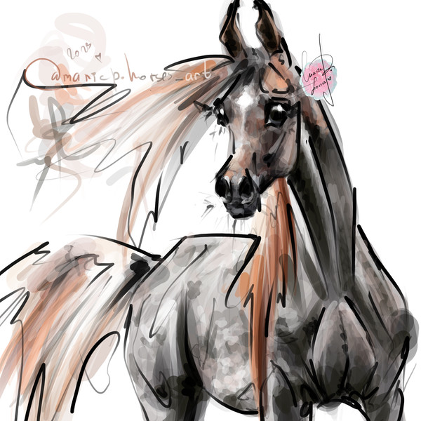 rose grey Arabian Horse ART commission custom original equine artist illustration pet portrait realistic drawing personalized painting equestrian gift artwork h