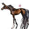 bay Arabian Horse ART commission custom original equine artist illustration pet portrait realistic drawing personalized painting equestrian gift artwork hand-dr