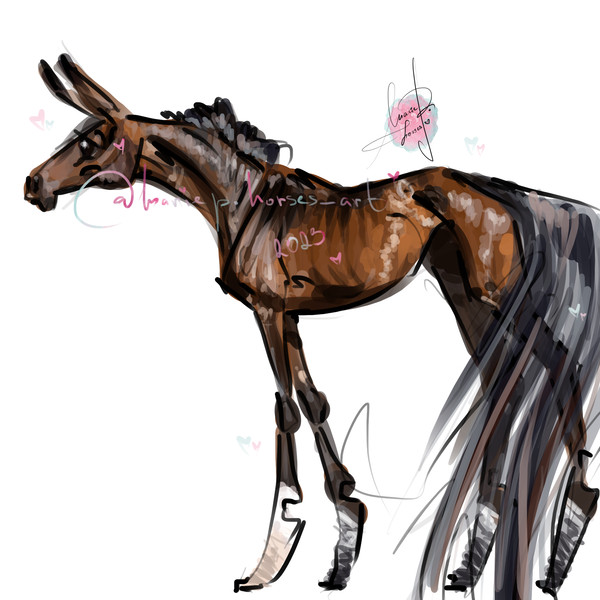 bay Arabian Horse ART commission custom original equine artist illustration pet portrait realistic drawing personalized painting equestrian gift artwork hand-dr
