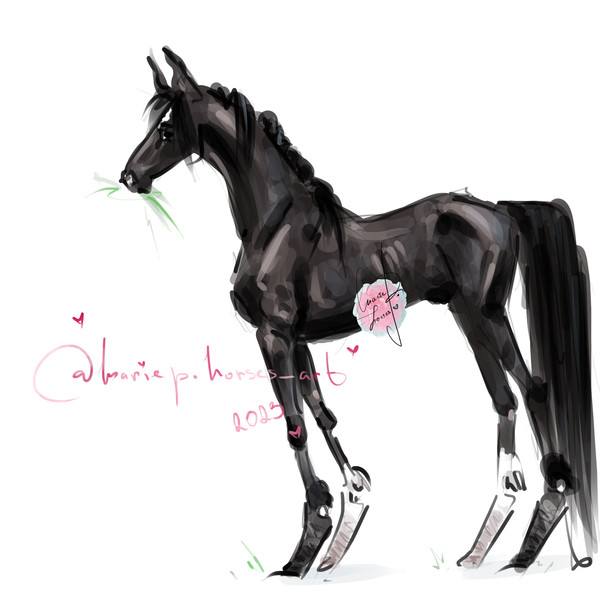 black Horse ART commission custom original equine artist illustration pet portrait realistic drawing personalized painting equestrian gift artwork hand-drawn an