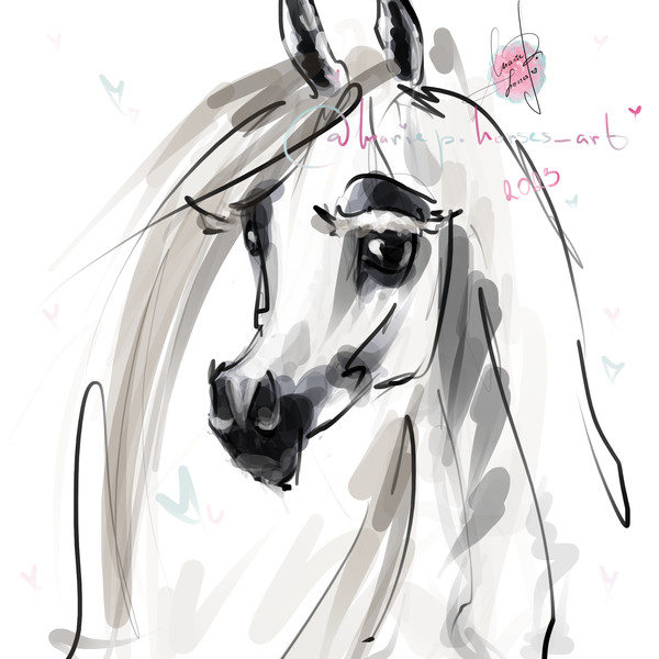 white Arabian Horse ART commission cute sketch doodle custom original equine artist cartoon illustration pet portrait realistic drawing personalized painting eq
