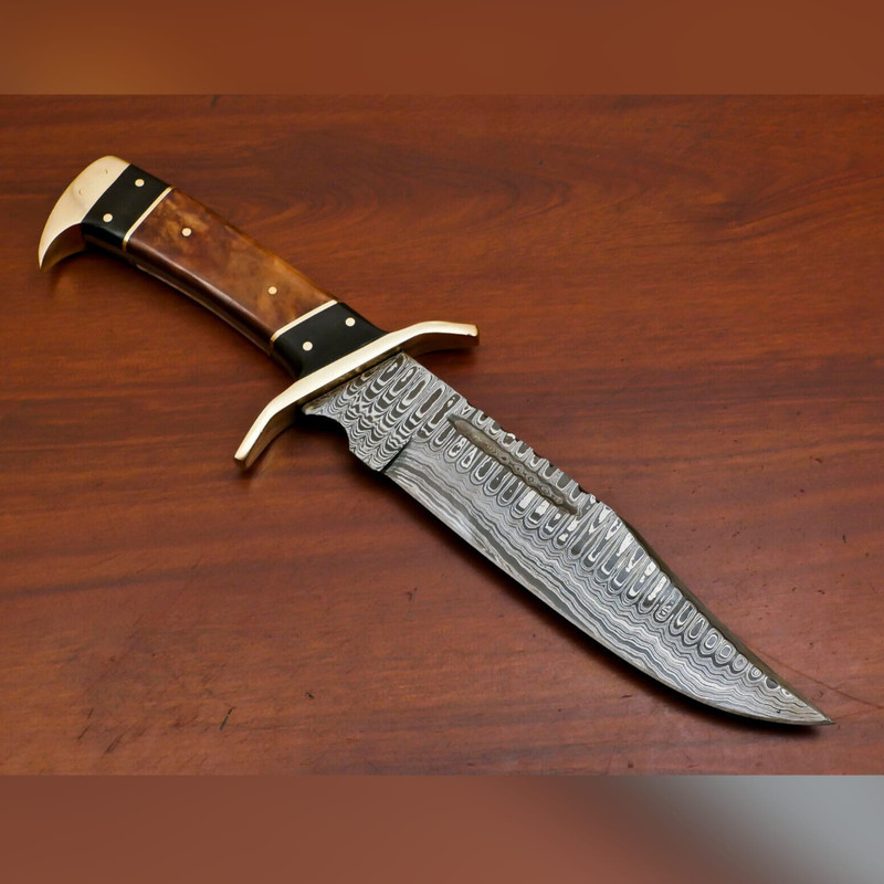 WhatsApp Image 2023-09-19 at 7.11.48 AM.jpeg