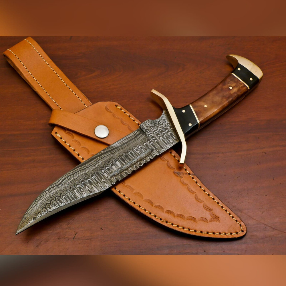 WhatsApp Image 2023-09-19 at 7.11.48 AM (1).jpeg