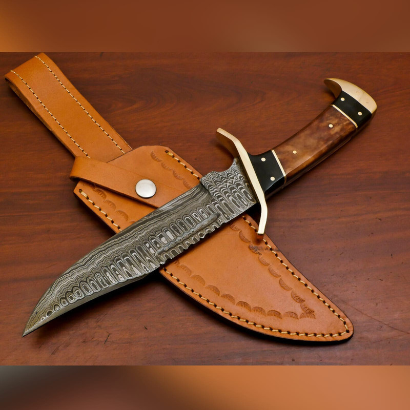 WhatsApp Image 2023-09-19 at 7.11.48 AM (1).jpeg