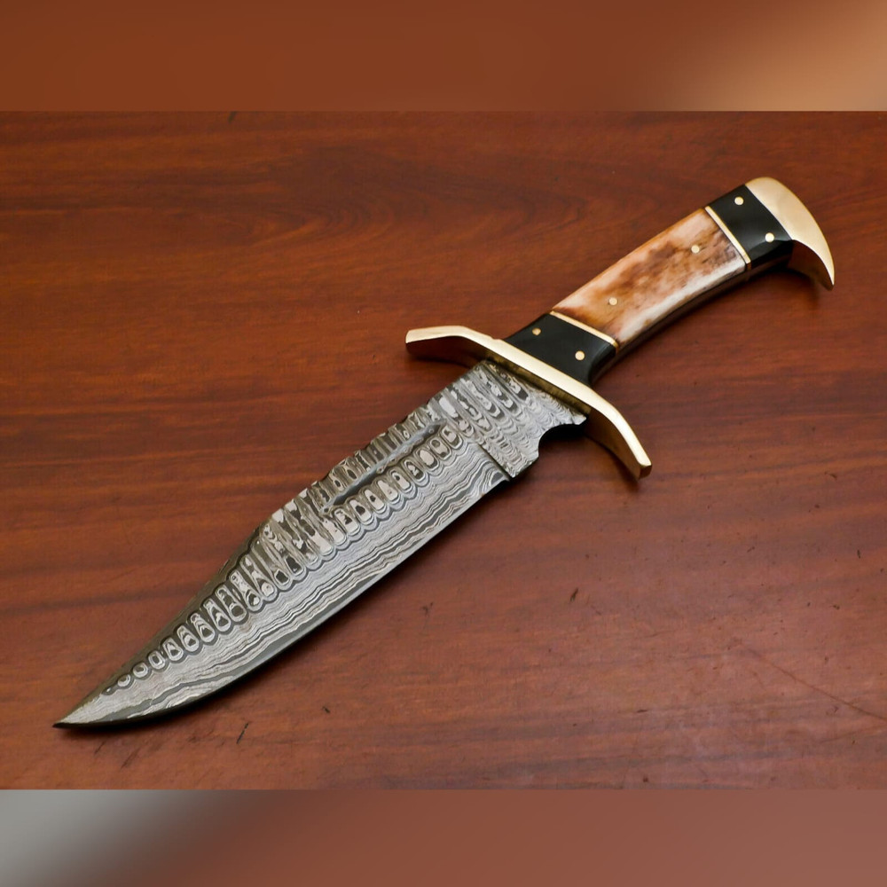 WhatsApp Image 2023-09-19 at 7.11.49 AM.jpeg