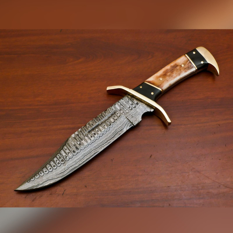 WhatsApp Image 2023-09-19 at 7.11.49 AM.jpeg