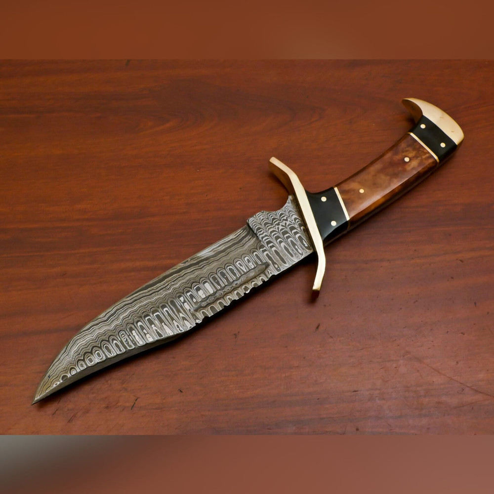 WhatsApp Image 2023-09-19 at 7.11.49 AM (1).jpeg