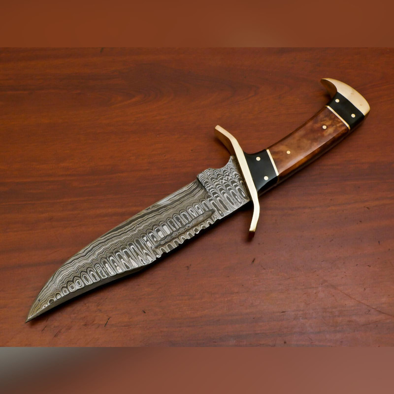 WhatsApp Image 2023-09-19 at 7.11.49 AM (1).jpeg