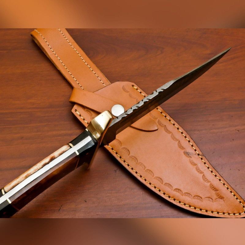 WhatsApp Image 2023-09-19 at 7.11.50 AM.jpeg