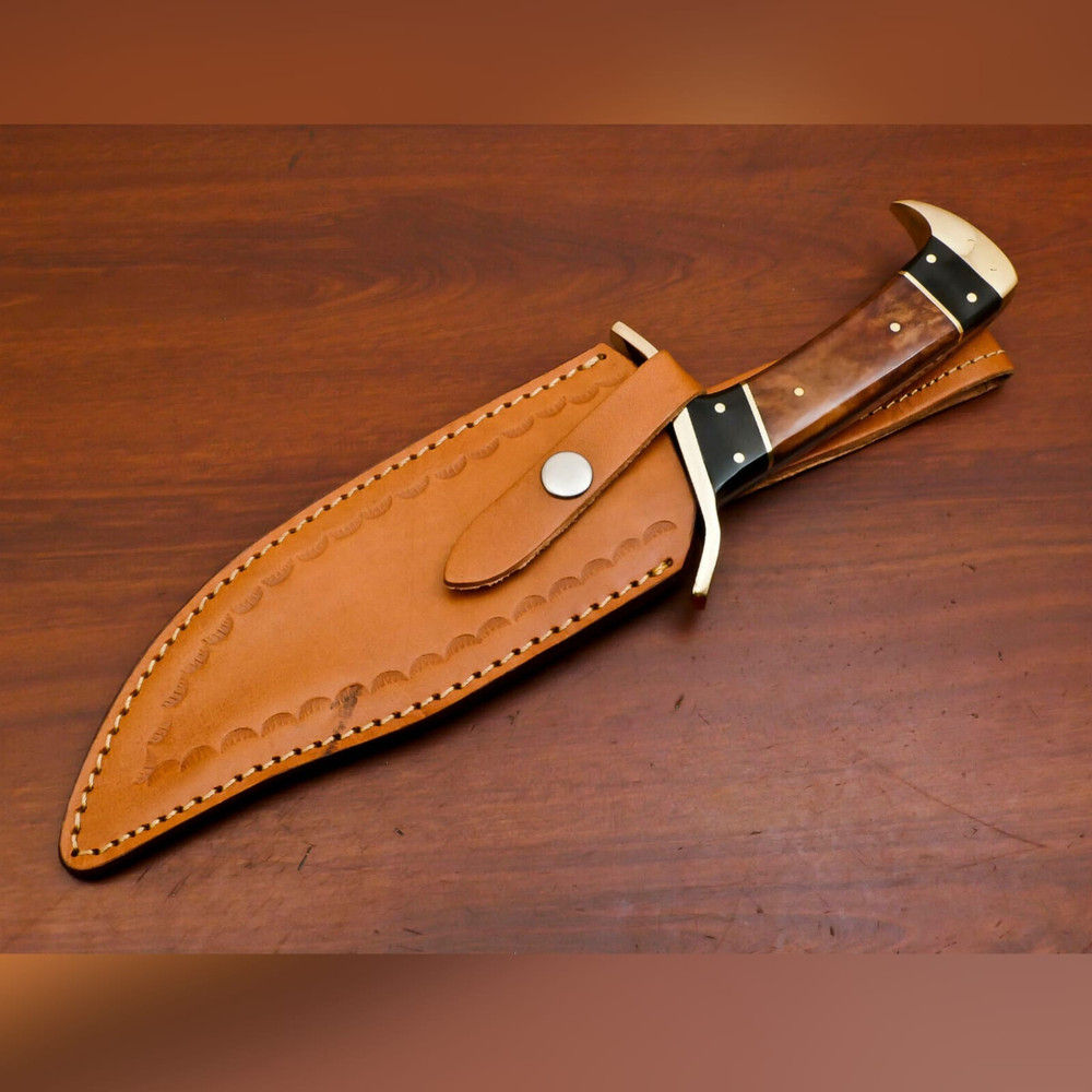 WhatsApp Image 2023-09-19 at 7.11.56 AM.jpeg