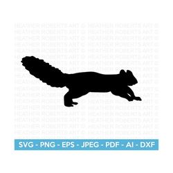 Squirrel Svg, Baby Squirrel Svg, Cute Squirrel Svg, Forest Animals Svg, Squirrel Silhouette, Animal Lover Svg, Cut File