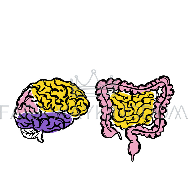 BRAIN AND GUTS [site].png