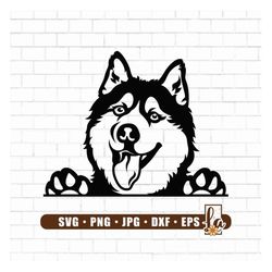Siberian Husky Svg | Peeking Smiling Dog Svg | Sled Dog Svg | Siberian Husky Png | Husky Svg | Dog Clipart | Dog Svg | P