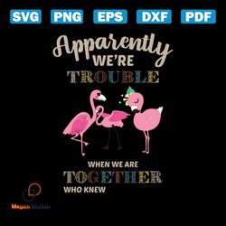 apparently, we're trouble, when we are cruising together, who knew, flamingo, flamingo svg,png, dxf, eps