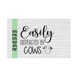 easily distracted by cows svg png eps dxf jpg pdf/cow svg/cute cow svg/commercial use svg cut files/funny shirt svg/mama