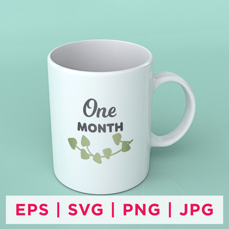 Baby Milestone Designs-02 Preview 1st.jpg