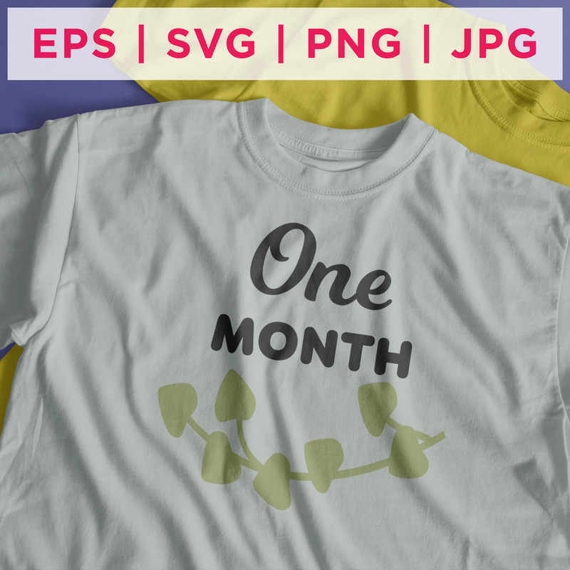 Baby Milestone Designs-02 Preview 2nd.jpg