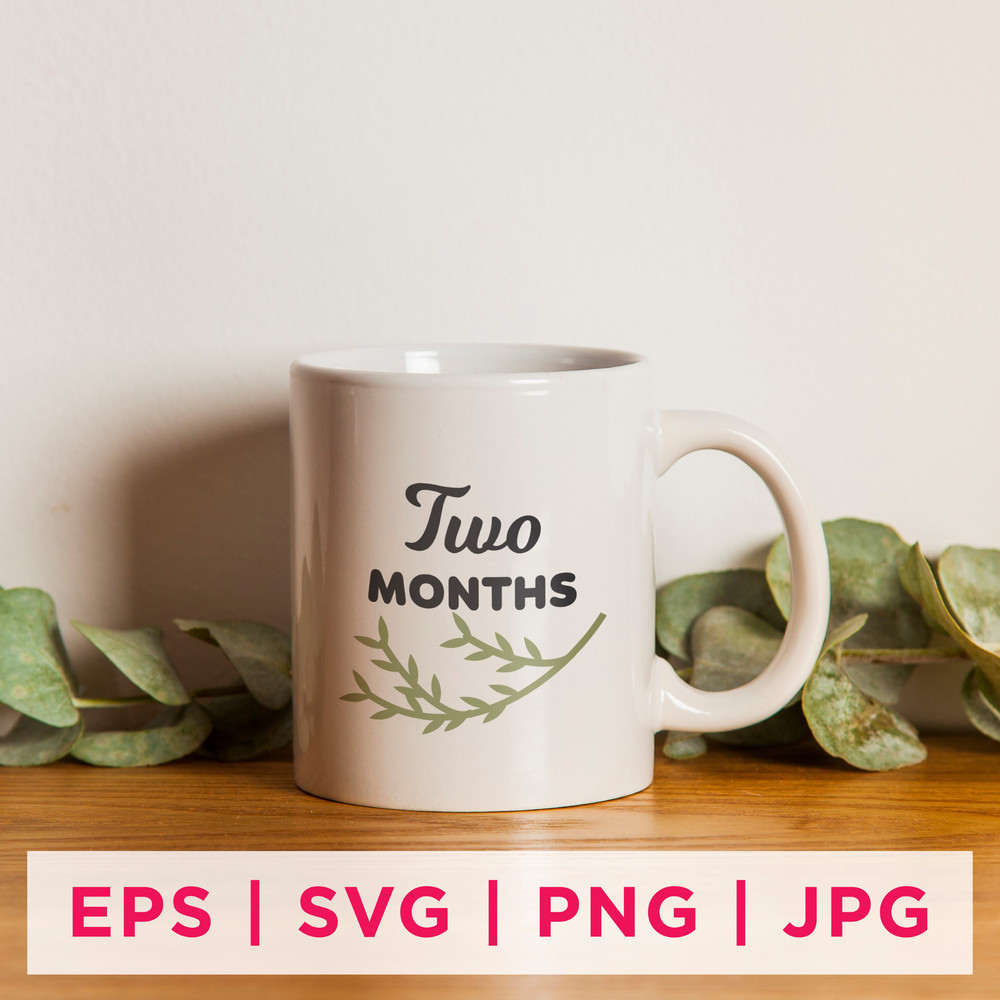 Baby Milestone Designs-03 Preview 1st.jpg