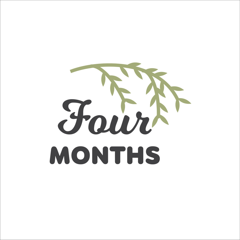 Baby Milestone Designs-05.jpg