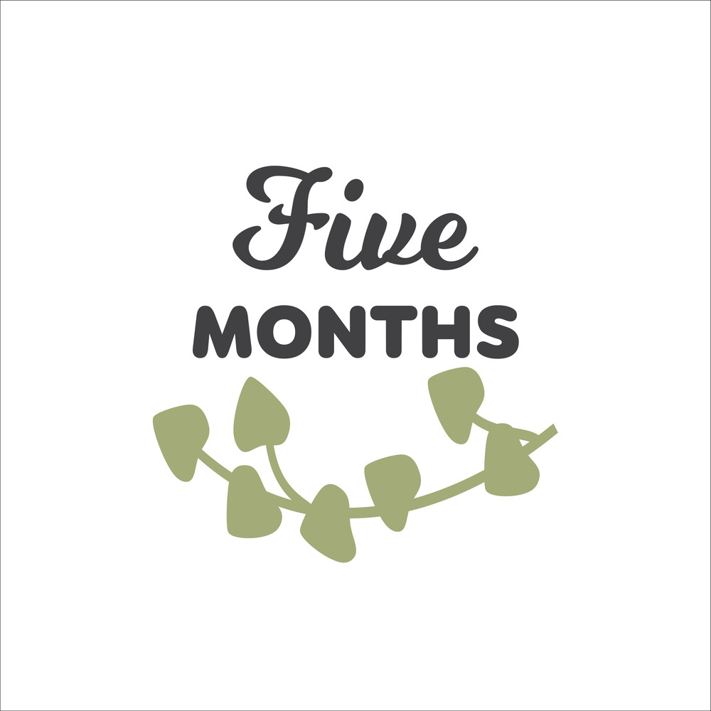 Baby Milestone Designs-06.jpg