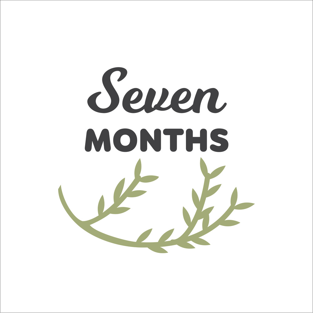 Baby Milestone Designs-08.jpg