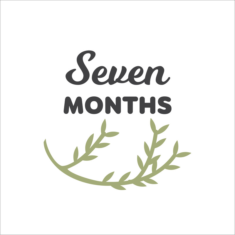 Baby Milestone Designs-08.jpg