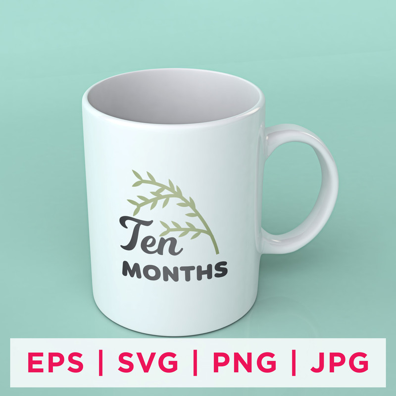 Baby Milestone Designs-11 Preview 1st.jpg