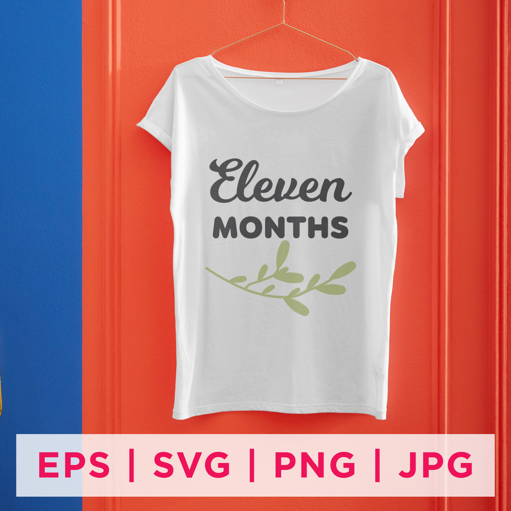 Baby Milestone Designs-12 Preview 2nd.jpg