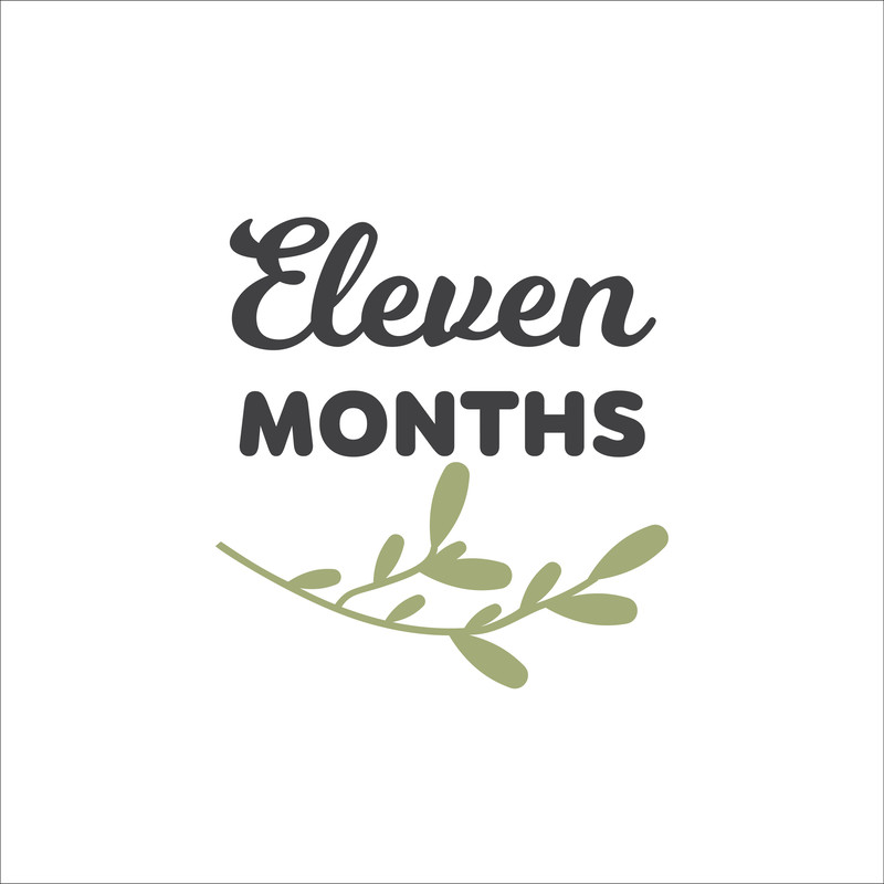 Baby Milestone Designs-12.jpg