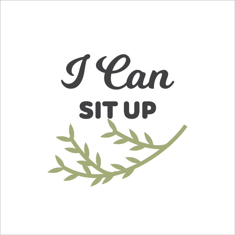 Baby Milestone Designs-22.jpg