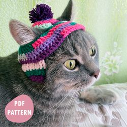 Cat hat crochet pattern PDF Crochet pattern for beginners Amigurumi hat for cat Digital cat outfit