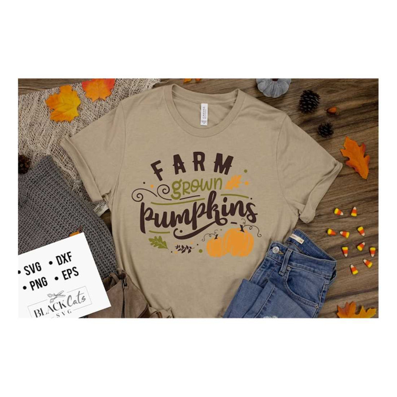 MR-2192023151713-farm-grown-pumpkins-svg-autumn-svg-fall-svg-autumn-svg-image-1.jpg